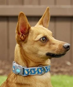 Frisco Patterned Neoprene Dog Collar -PetNest Shop 156845 PT2. SY630 V1620166934