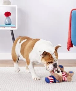 X-Frisco Plush Squeaking American Flag Bear Dog Toy, 2020 -PetNest Shop 157187 PT2. SY630 V1559764047
