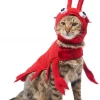 Frisco Red Lobster Dog & Cat Costume -PetNest Shop 158722 MAIN. SY630 V1659023571