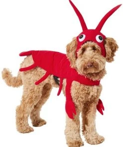 Frisco Red Lobster Dog & Cat Costume -PetNest Shop 158722 PT2. SY630 V1659023725