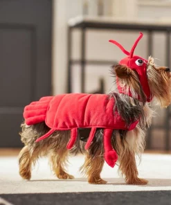 Frisco Red Lobster Dog & Cat Costume -PetNest Shop 158722 PT6. SY630 V1659023722