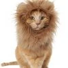 Frisco Lion Mane Dog & Cat Costume -PetNest Shop 158731 MAIN. SY630 V1625875593