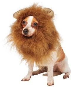 Frisco Lion Mane Dog & Cat Costume -PetNest Shop 158731 PT2. SY630 V1625877120