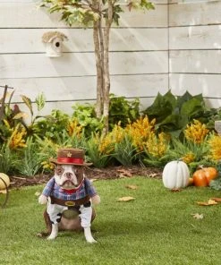 Frisco Front Walking Cowboy Dog & Cat Costume -PetNest Shop 158837 PT3. SY630 V1567176011