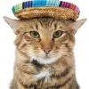 Frisco Dog & Cat Sombrero Hat -PetNest Shop 158881 MAIN. SY630 V1625076472