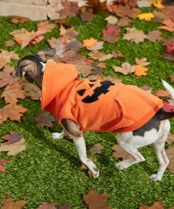 Frisco Jack O' Lantern Pumpkin Dog & Cat Hoodie -PetNest Shop 158886 PT8. SY630 V1599140774