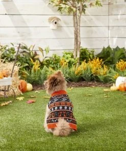 Frisco Halloween Fair Isle Dog & Cat Sweater -PetNest Shop 158893 PT3. SY630 V1567176238