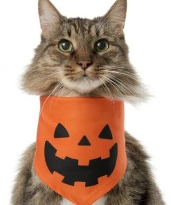 Frisco Jack O' Lantern Pumpkin Dog & Cat Bandana -PetNest Shop 158934 PT2. SY630 V1637646424