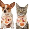 Frisco Mommy's Lil Pumpkin Dog & Cat Bandana -PetNest Shop 158936 MAIN. SY630 V1633068697
