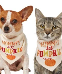 Frisco Mommy's Lil Pumpkin Dog & Cat Bandana
