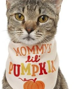 Frisco Mommy's Lil Pumpkin Dog & Cat Bandana 9 Frisco Mommy's Lil Pumpkin Dog & Cat Bandana -PetNest Shop 158936 PT2. SY630 V1633073776