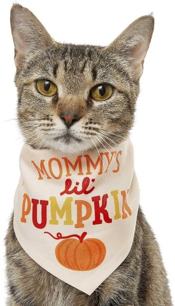 Frisco Mommy's Lil Pumpkin Dog & Cat Bandana 5 Frisco Mommy's Lil Pumpkin Dog & Cat Bandana - Image 3