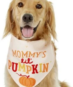 Frisco Mommy's Lil Pumpkin Dog & Cat Bandana 10 Frisco Mommy's Lil Pumpkin Dog & Cat Bandana -PetNest Shop 158936 PT3. SY630 V1633078003