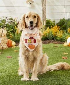 Frisco Mommy's Lil Pumpkin Dog & Cat Bandana 11 Frisco Mommy's Lil Pumpkin Dog & Cat Bandana -PetNest Shop 158936 PT4. SY630 V1633064807
