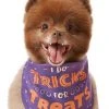 Frisco I Do Tricks For Treats Dog & Cat Bandana -PetNest Shop 158938 MAIN. SY630 V1633728989