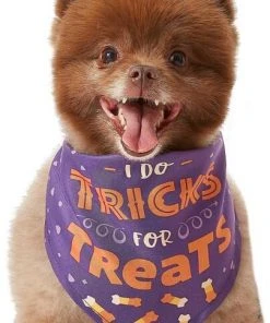 Frisco I Do Tricks For Treats Dog & Cat Bandana -PetNest Shop 158938 PT3. SY630 V1633075903