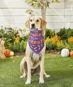 Frisco I Do Tricks For Treats Dog & Cat Bandana -PetNest Shop 158938 PT4. SY630 V1633069923