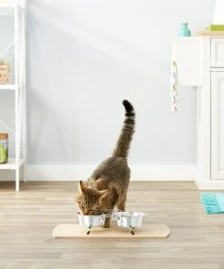 Frisco Non-Skid Elevated Dog & Cat Diner -PetNest Shop 159881 PT4. SY630 V1561123082