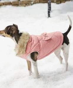 Frisco Aspen Insulated Quilted Dog & Cat Jacket with Bow -PetNest Shop 160285 PT6. SY630 V1567617783
