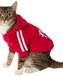 Frisco Püppy Dog & Cat Athletic Hoodie -PetNest Shop 160339 PT3. SY630 V1637717232