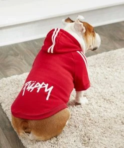 Frisco Püppy Dog & Cat Athletic Hoodie -PetNest Shop 160339 PT6. SY630 V1637668622
