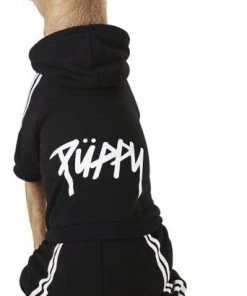 Frisco Püppy Dog & Cat Athletic Tracksuit