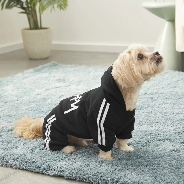 Frisco Püppy Dog & Cat Athletic Tracksuit 8 Frisco Püppy Dog & Cat Athletic Tracksuit - Image 6