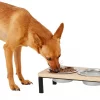 Frisco Wooden Elevated Dog & Cat Diner -PetNest Shop 161144 MAIN. SY630 V1578432855