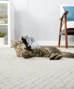 Frisco Bouncy Mouse Cat Toy -PetNest Shop 161259 PT1. SY630 V1568910124