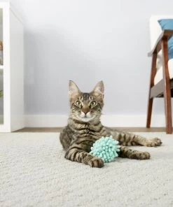 Frisco Moppy Ball Cat Toy -PetNest Shop 161280 PT1. SY630 V1568909977