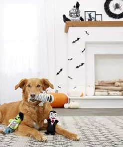 Frisco Halloween Living Dead Monsters Plush Squeaky Dog Toy, 3 count -PetNest Shop 161345 PT4. SY630 V1563230352