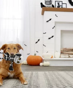 Frisco Halloween Skeleton Plush with Rope Squeaky Dog Toy -PetNest Shop 161358 PT2. SY630 V1563230245