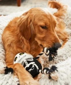 Frisco Halloween Skeleton Plush with Rope Squeaky Dog Toy -PetNest Shop 161358 PT6. SY630 V1597599370