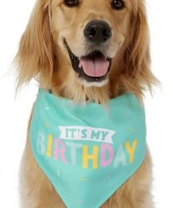 Frisco Dog & Cat Birthday Bandana -PetNest Shop 162803 PT2. SY630 V1633086083
