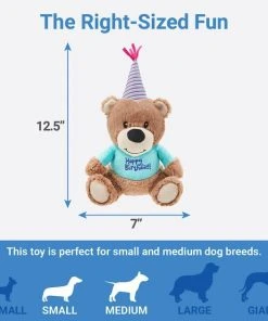 Frisco Plush Birthday Bear with Striped Hat Dog Toy -PetNest Shop 162836 PT1. SY630 V1568207218