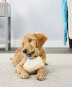 Frisco Plush Birthday Cake Slice with Squeaker Dog Toy -PetNest Shop 162906 PT2. SY630 V1565379438