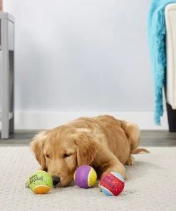 Frisco Fetch Squeaking Birthday Tennis Ball Dog Toy, 3-Pack -PetNest Shop 162914 PT2. SY630 V1565379548