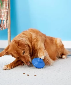 Frisco Rubber Flying Saucer Treat Dispenser Dog Toy 9 Frisco Rubber Flying Saucer Treat Dispenser Dog Toy -PetNest Shop 164757 PT4. SY630 V1604676731