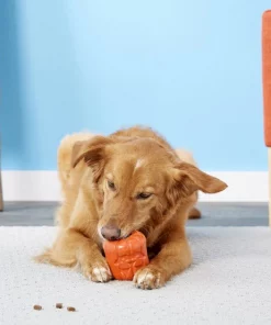 Frisco Halloween Pumpkin Rubber Treat Dispenser Dog Toy -PetNest Shop 164763 PT4. SY630 V1563808928