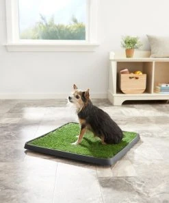 Frisco Indoor Grass Potty -PetNest Shop 166343 PT2. SY630 V1657656049