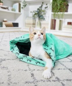 Frisco Kitty Play Sack Cat Toy, Teal -PetNest Shop 166486 PT4. SY630 V1573664900