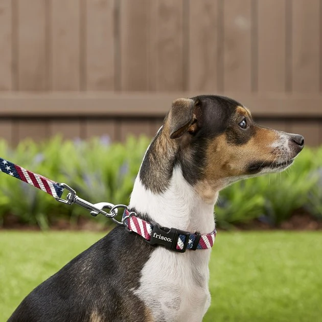 Frisco American Flag Polyester Dog Leash 4 Frisco American Flag Polyester Dog Leash - Image 2