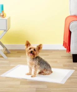 Frisco Dog Training Pads 21 x 21-in, 100 count, Unscented -PetNest Shop 173778 PT5. SY630 V1624488228