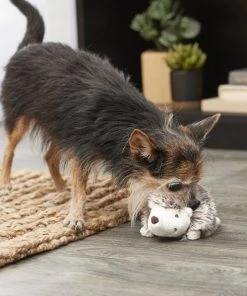 Frisco Plush Squeaking Hedgehog Dog Toy -PetNest Shop 174677 PT2. SY630 V1574271550