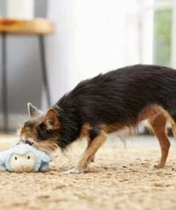 Frisco Plush Squeaking Lamb Dog Toy -PetNest Shop 174686 PT2. SY630 V1573597393