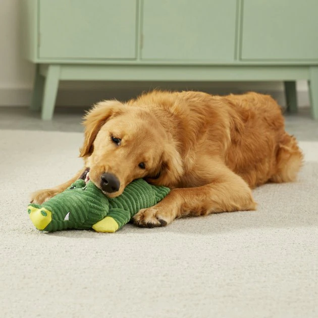 Frisco Corduroy Plush Squeaking Alligator Dog Toy 5 Frisco Corduroy Plush Squeaking Alligator Dog Toy - Image 3