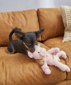 Frisco Plush with Inside Rope Squeaking Pig Dog Toy -PetNest Shop 174725 PT2. SY630 V1573492728