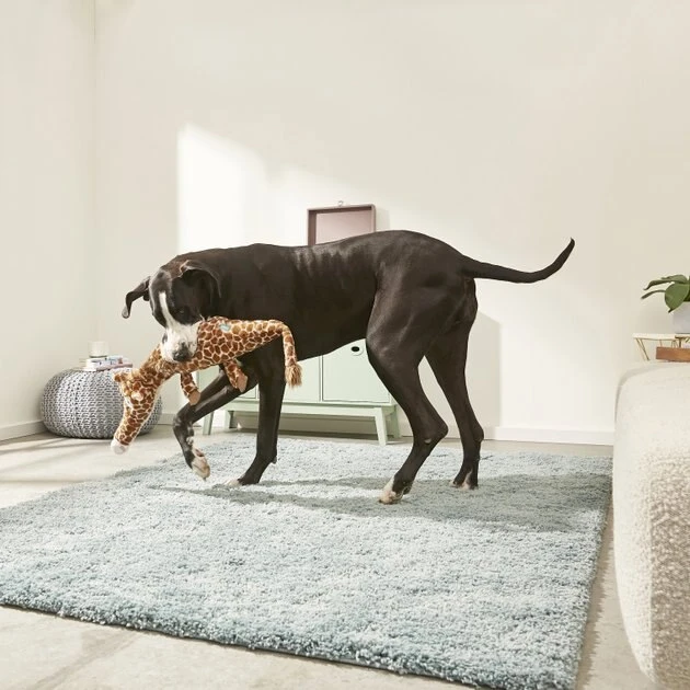 Frisco Wagazoo Plush Squeaking Giraffe Dog Toy 5 Frisco Wagazoo Plush Squeaking Giraffe Dog Toy - Image 3