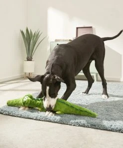 Frisco Wagazoo Plush Squeaking Alligator Dog Toy -PetNest Shop 174751 PT2. SY630 V1573492762