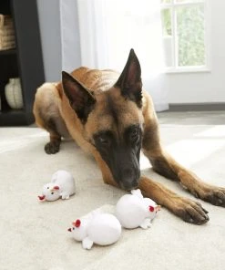 Frisco Hide & Seek Chicken Dog Toy Refills, 3-pack -PetNest Shop 174764 PT2. SY630 V1574271542